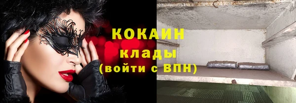 амф Арсеньев