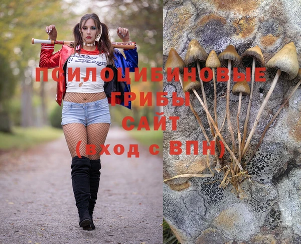 амф Арсеньев